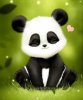 panda_grass.jpg