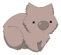 Wombat13